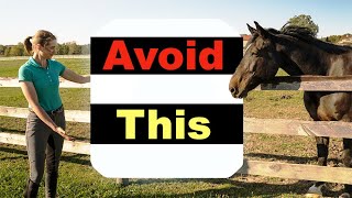 BEGINNER HORSE RIDING MISTAKES  TOP 10 🐴 [upl. by Ddet]