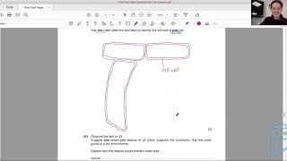 AS Biology Practical Past Paper  Part 3 Microscope Work [upl. by Giustina]