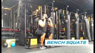 BENCH SQUATS  A Quick Guide [upl. by Willyt155]