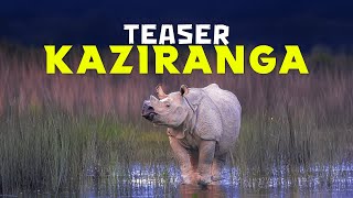 Teaser  Kaziranga National Park  4K Video [upl. by Yeh]