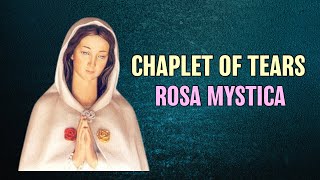 Chaplet of Tears Rosary  Rosa Mystica [upl. by Auoh]