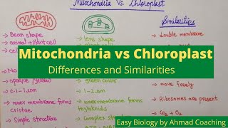 Mitochondria VS Chloroplast  Differences and Similarities [upl. by Vargas]