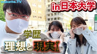 現実は厳しい！学歴”理想と現実”ゲーム！in日本大学【wakatteTV】538 [upl. by Nairred213]