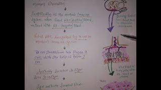 RHINCOMPATIBILITY ERYTHROBLASTOSIS FETALIS  PATHOPHYSIOLOGY [upl. by Mackie]