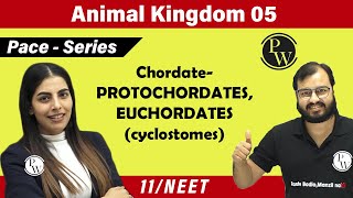 Animal Kingdom 05  Chordate  PROTOCHORDATES  EUCHORDATES cyclostomes  11  NEET  PACE SERIES [upl. by Olvan]