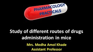 Study of different routes of drugs administration in mice [upl. by Assirt]