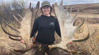 Finding Moose Antlers in Alaska  Shed Hunting [upl. by Cowen468]