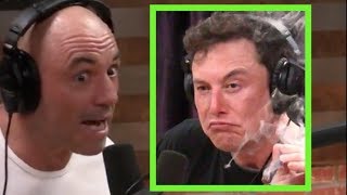 Joe Rogan on the Elon Musk Controversy [upl. by Elyod392]