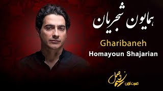 Homayoun Shajarian  Gharibaneh  Nasime Vasl Concert  همایون شجریان  غریبانه [upl. by Allesor301]