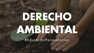 Derecho Ambiental  Educación Ambiental Digital [upl. by Fatima50]