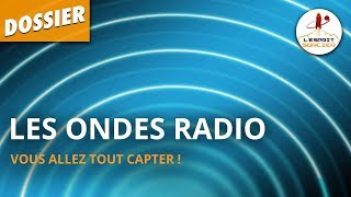 LES ONDES RADIO  Dossier 34  LEsprit Sorcier [upl. by Ajad287]