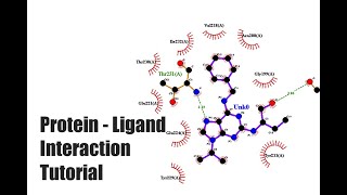 ProteinLigand Interaction Tutorial [upl. by Neerac353]