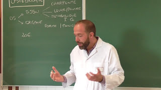 Anatomie générale 1  Cours dostéologie générale [upl. by Grearson]