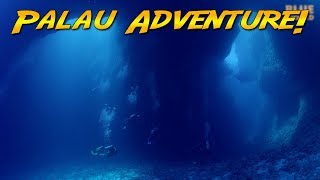 Palau Scuba Adventure Worlds best diving [upl. by Yrneh91]