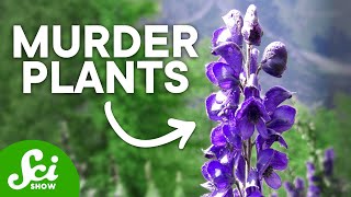 The Top 10 Deadliest Plants They Can Kill You [upl. by Htenek]