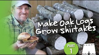 How To Grow Shiitake Mushrooms In Oak Logs  Part 1 Inoculation [upl. by Gannie]