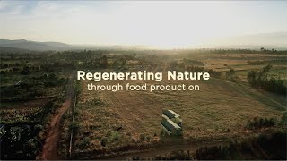 Regenerative Farming in Kenya  Circular food systems in East Africa 15 [upl. by Nelleeus994]