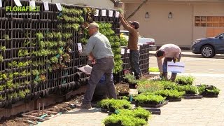 Florafelt Pro System Vertical Garden Installation [upl. by Spalla748]