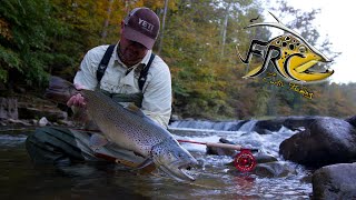 Fly Fishing for Huge Brown Trout in West Virginia [upl. by Nit]