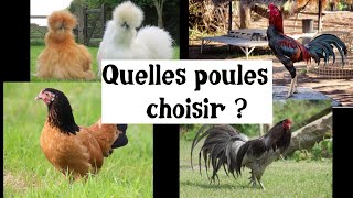 Quelles poules choisir [upl. by Akimet94]