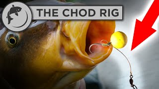 How To Tie A Chod Rig for Carp Fishing [upl. by Ridglee]