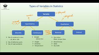 Types of Variables in Statistics [upl. by Sims]