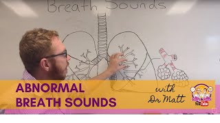 Abnormal Breath Sounds  Respiratory System [upl. by Eidaj]