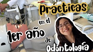 Prácticas en el primer año de odontología [upl. by Kolodgie]