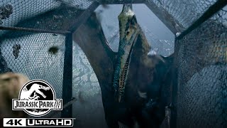 The Pteranodon Aviary Attack in 4K HDR  Jurassic Park III [upl. by Hepsoj]