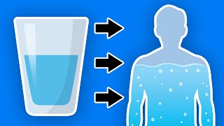 How Much Water Should I Drink Per Day To Lose Weight Fast EASY TIP  LiveLeanTV [upl. by Lorette]