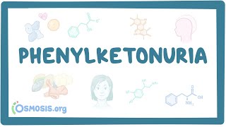 Phenylketonuria  causes symptoms diagnosis treatment pathology [upl. by Tychon486]