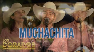 Los Dorados  Muchachita En Vivo [upl. by Niwrehs450]