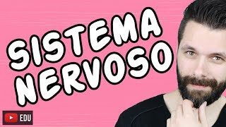 SISTEMA NERVOSO  FISIOLOGIA  Aula  Biologia com Samuel Cunha [upl. by Ebarta]