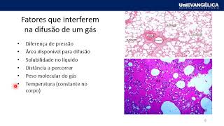 MÓDULO 1 FUNÇÕES BIOLÓGICAS Hematose e transporte de gases [upl. by Neleb]