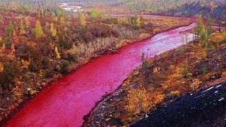 Russian River Mysteriously Turns Blood Red [upl. by Znerol]