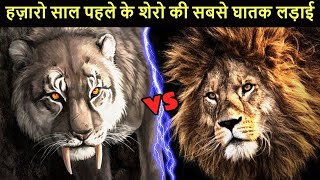 Sabertooth Tiger vs American Lion कौन जीतता था उस समय के जंगल के महायुद्ध में [upl. by Atimed]