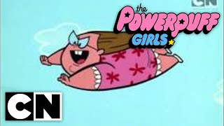 The Powerpuff Girls Classic  Mojo Jonesin Full Episode [upl. by Germayne]