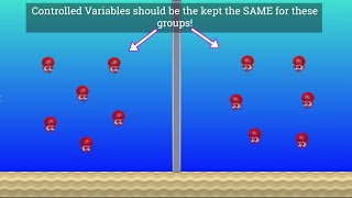 Variables in Science Independent Dependent and Controlled [upl. by Robenia]