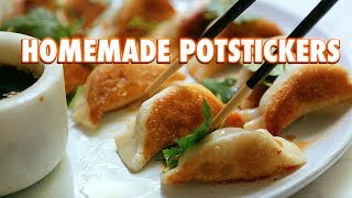 Potstickers Made From Scratch Pan Fried Dumplings [upl. by Mihe]