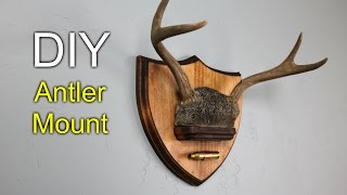 DIY Antler Mount  How to make [upl. by Broddy395]