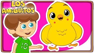 Pollito Amarillito 🐥 y muchas máss cancion infantil  Los Amiguitos [upl. by Jeanelle]