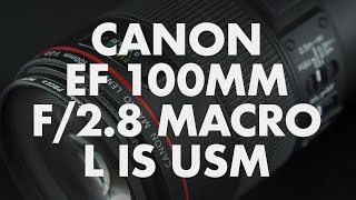 Lens Data  Canon EF 100mm f28 L Macro IS USM Review [upl. by Bitthia344]