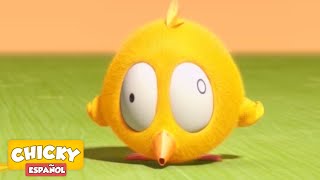 ¿Dónde está Chicky 2020  EL POLLITO  Dibujos Animados Para Niños [upl. by Groot391]