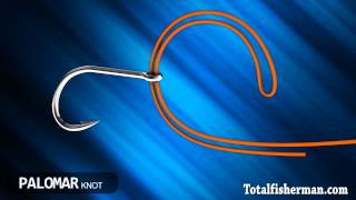 Best Fishing Knot [upl. by Zanas]