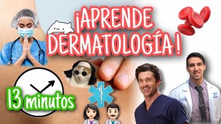 PIEL ¡Anatomía funcional en 13 minutos BASES DE LA DERMATOLOGÍA [upl. by Nerradal]