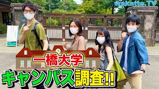 【どのくらい優秀？】一橋大学のキャンパス調査！【wakatte TV】569 [upl. by Yatnuahs788]