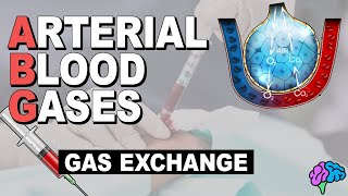 Blood Gases and Gas Exchange  Arterial Blood Gases Part 2 [upl. by Ydwor]