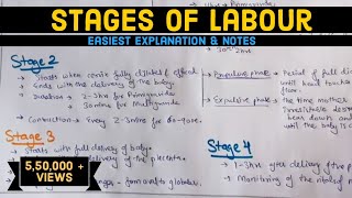 Stages  Phases Of Labor Part 2 The Pushing Stage [upl. by Arahahs]