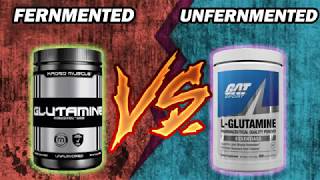 Glutamine Fermented VS Unfermented [upl. by Ellekram]