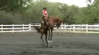 Bucking Horse with Female Rider [upl. by Boeschen533]